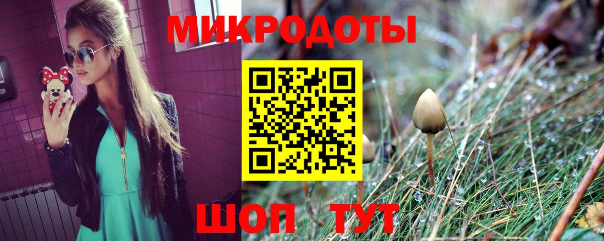 Галлюциногенные грибы Magic Shrooms Гатчина